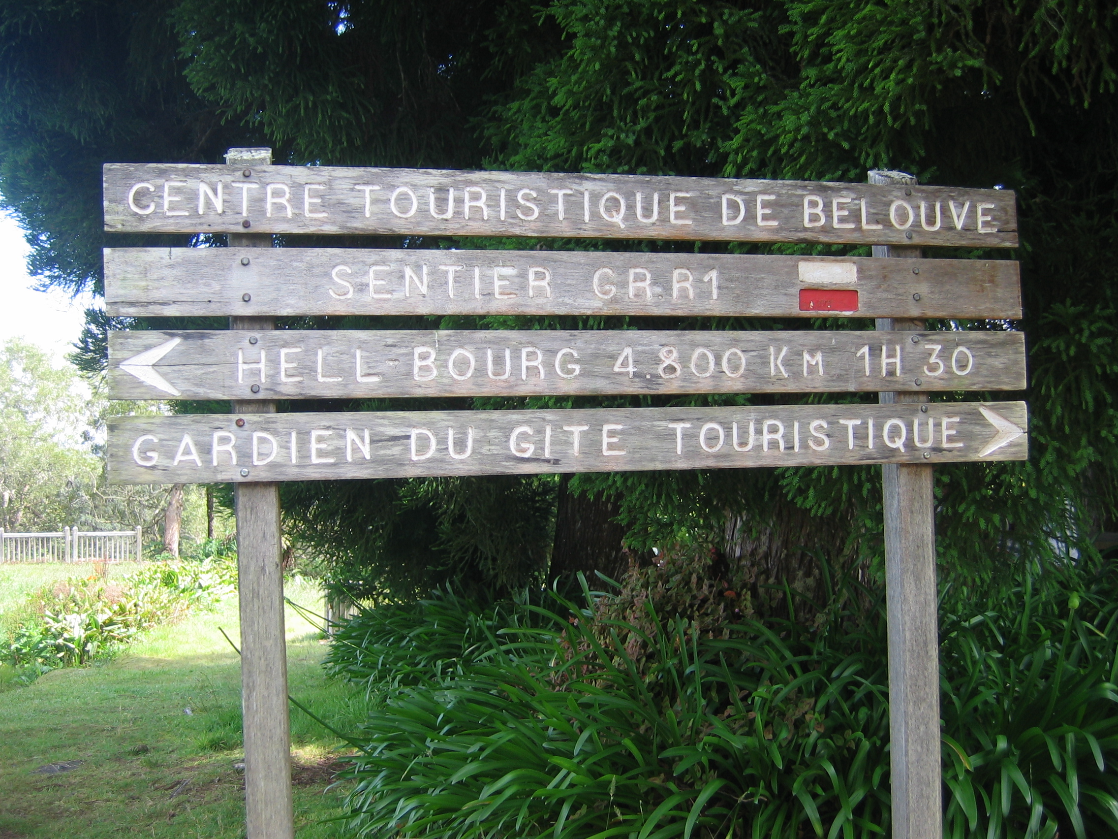 Forêt de Bélouve