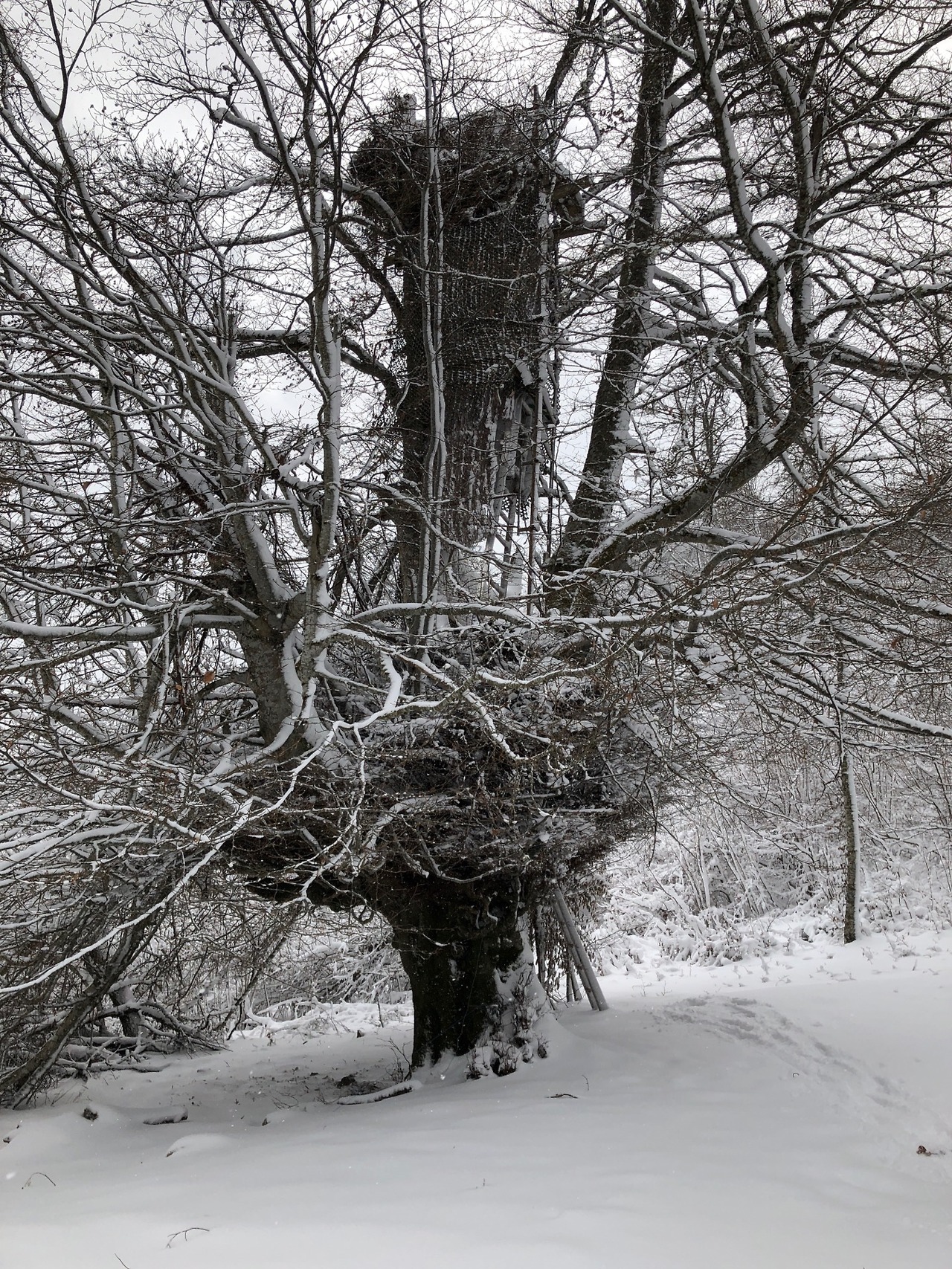 Je suis ici Col de La Béné 3.0